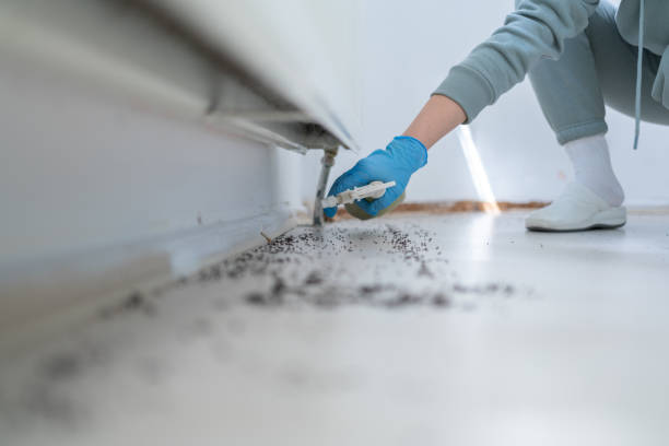 Best Commercial Pest Control Services  in Farmer City, IL